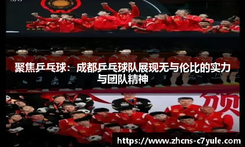 聚焦乒乓球：成都乒乓球队展现无与伦比的实力与团队精神