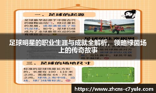 足球明星的职业生涯与成就全解析，领略绿茵场上的传奇故事